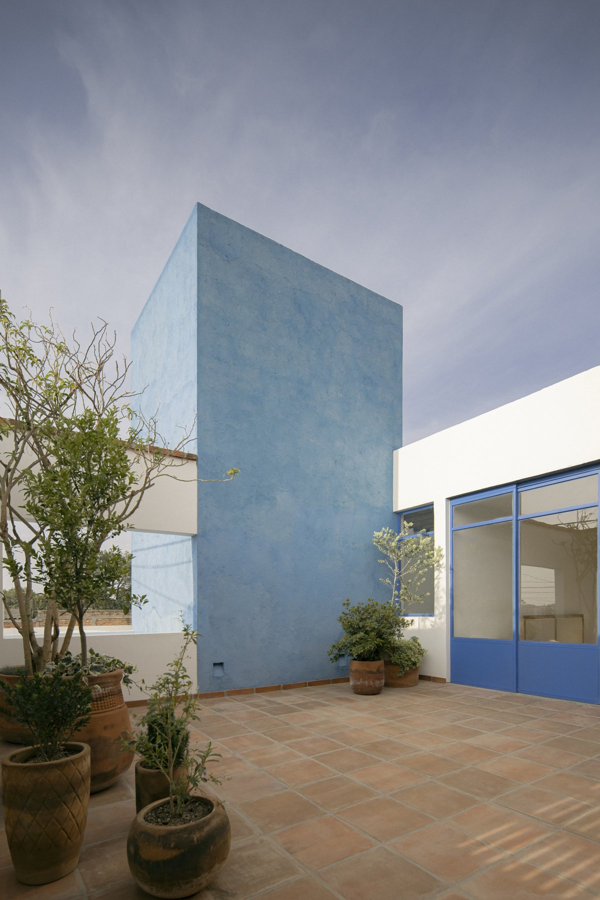 YinjiSpace Amarillo Amate Arquitectura x San Ignacio House